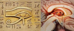 szyszynka-i-oko-horusa