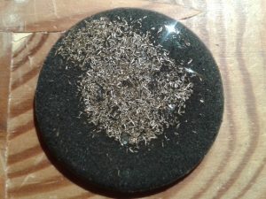 chipharm01