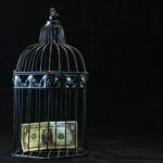 black steel pet cage with one dollar